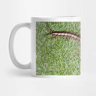 Hawaiian centipede Mug